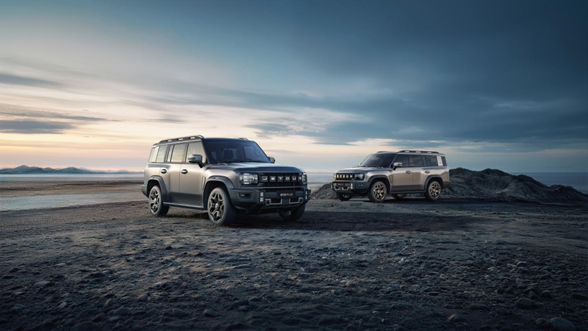 捷途旅行者PLUS捷途旅行者PLUS C-DM，双车预售