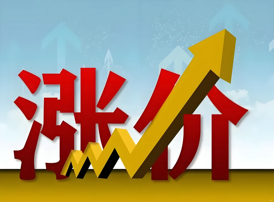 锂价上涨吹响淘汰赛号角，新能源车市面临一场“压力测试” 